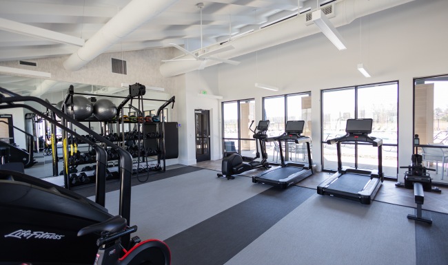 wellness starts here